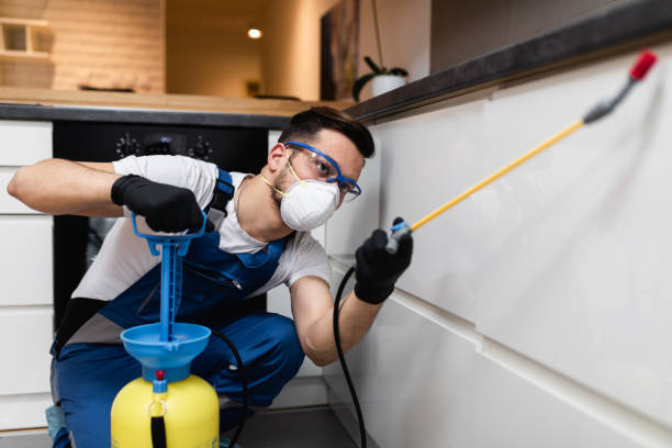 Reliable Church Hill, TN Pest Control Solutions